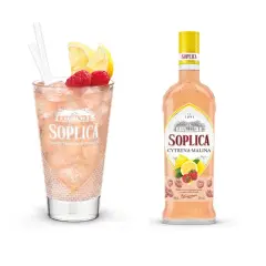 Pyszne drinki z wodą gazowaną i cytryną, które orzeźwiają każdego dnia