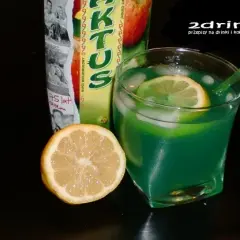 Najlepsze drinki z kaktusem - orzeźwiające przepisy na koktajle
