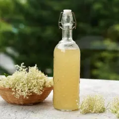 Pyszne drinki z syropem z kwiatu czarnego bzu, które zachwycą smakiem