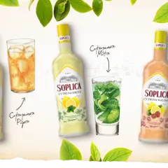 Jak przygotować pyszny drink z soplicą cytryna malina, który zaskoczy gości