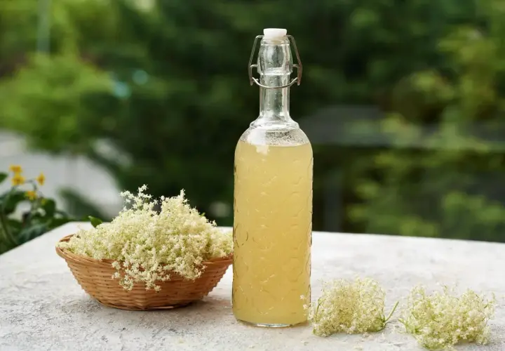 Pyszne drinki z syropem z kwiatu czarnego bzu, które zachwycą smakiem