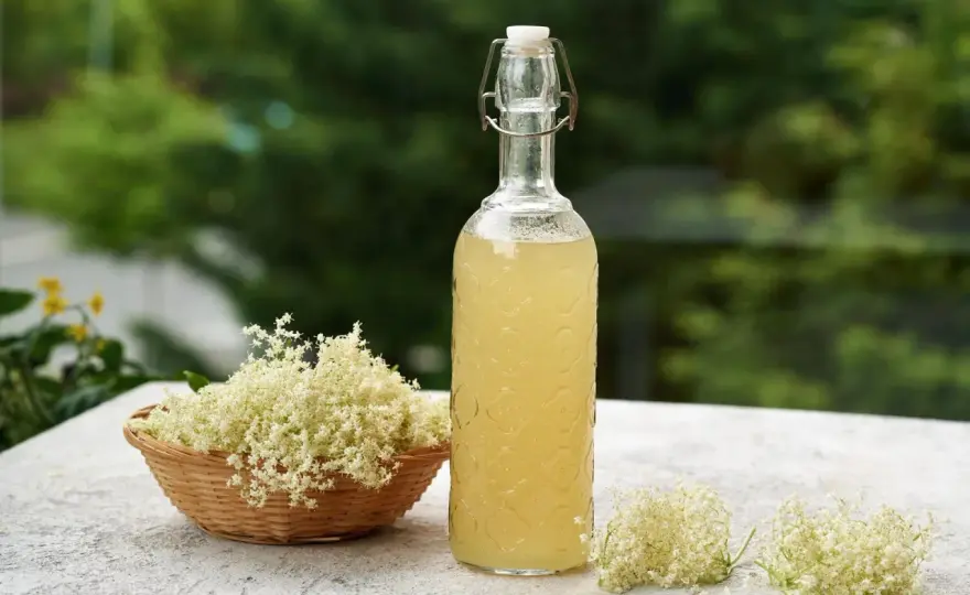 Pyszne drinki z syropem z kwiatu czarnego bzu, które zachwycą smakiem